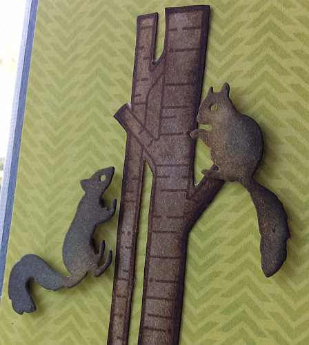 allyn-squirrel-detail