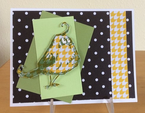 crazy-patterned-bird