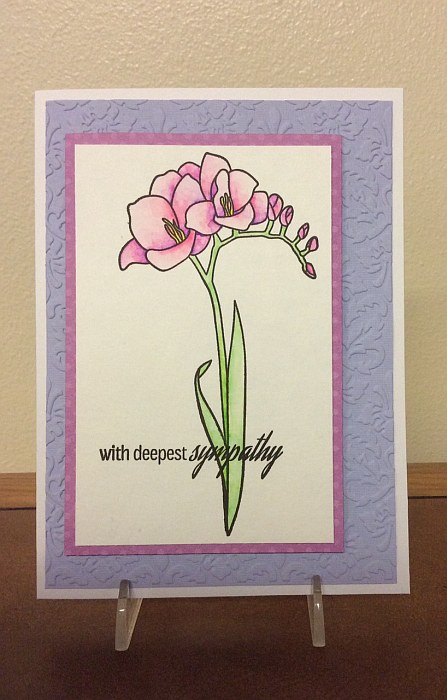 freesia_sympathy-brett